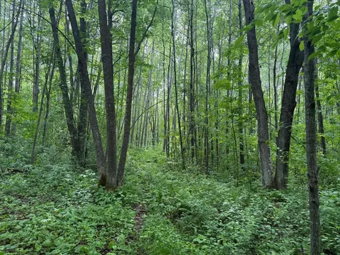 10551 Mallard Road Brook Park MN 55007