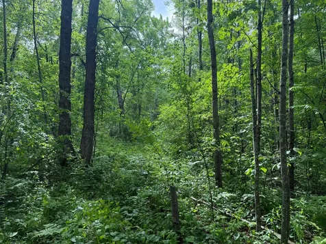 10551 Mallard Road Brook Park MN 55007