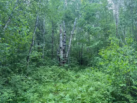 10551 Mallard Road Brook Park MN 55007