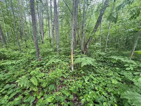 10551 Mallard Road Brook Park MN 55007