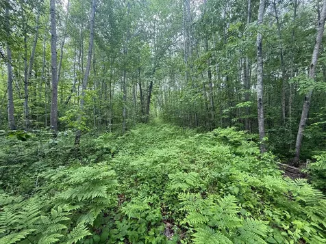 10551 Mallard Road Brook Park MN 55007