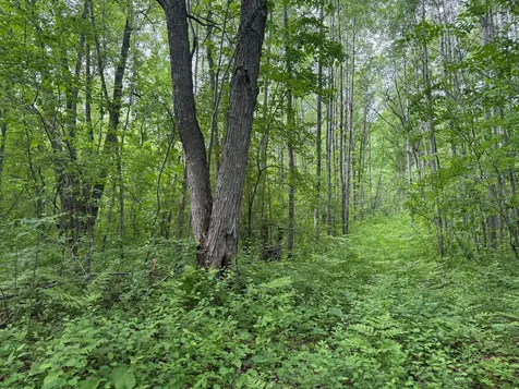 10551 Mallard Road Brook Park MN 55007
