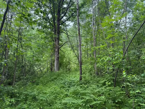 10551 Mallard Road Brook Park MN 55007