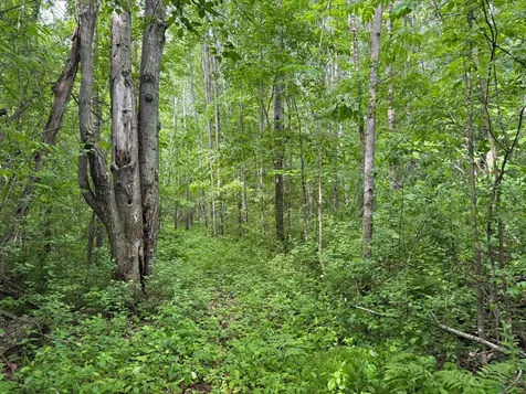10551 Mallard Road Brook Park MN 55007