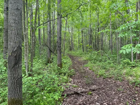 10551 Mallard Road Brook Park MN 55007