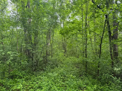 10551 Mallard Road Brook Park MN 55007