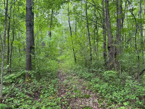 10551 Mallard Road Brook Park MN 55007