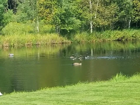 Na County Rd O Bruce WI 54819