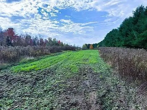 Na County Rd O Bruce WI 54819