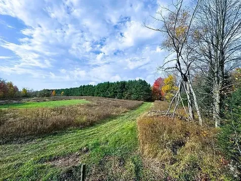 Na County Rd O Bruce WI 54819