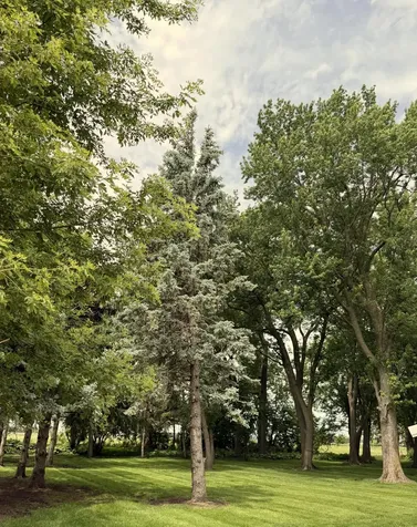 41347 Us Hwy 71 N Windom MN 56101