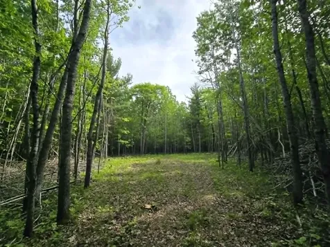 12085 State 371 NW Laporte MN 56461