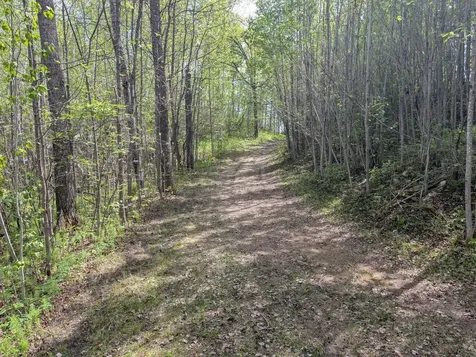 Tbd Town Road 117 Baudette MN 56623