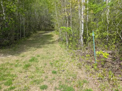Tbd Town Road 117 Baudette MN 56623