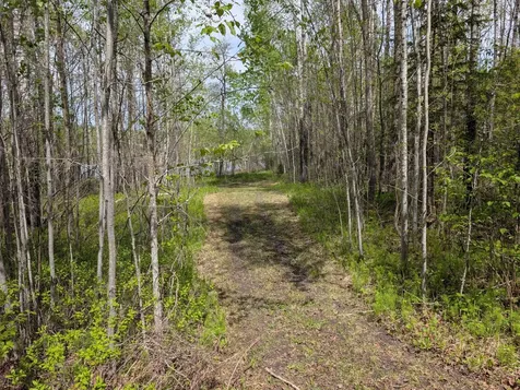 Tbd Town Road 117 Baudette MN 56623