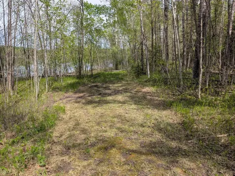 Tbd Town Road 117 Baudette MN 56623