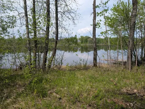 Tbd Town Road 117 Baudette MN 56623