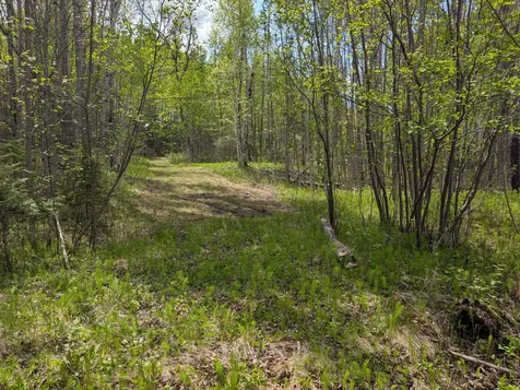 Tbd Town Road 117 Baudette MN 56623