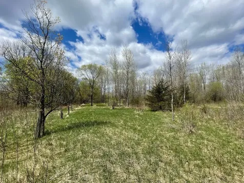 Tbd 170th Street N Hugo MN 55038