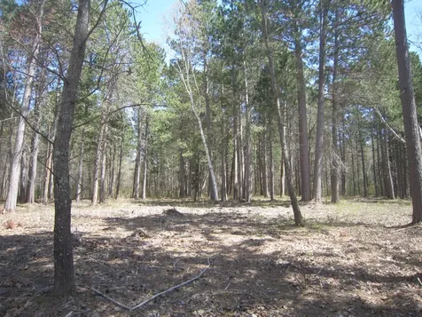Lot 3 Among Forest & Lakes Drive Cass Lake MN 56633