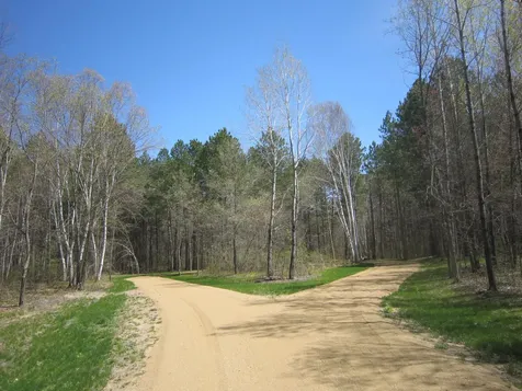 Lot 3 Among Forest & Lakes Drive Cass Lake MN 56633
