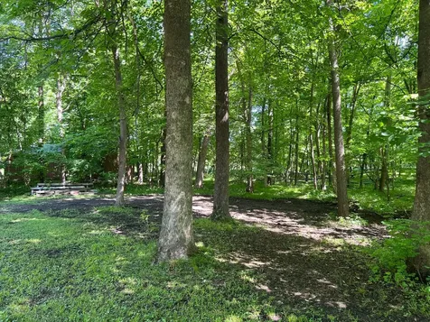 57625 226th Street Litchfield MN 55355