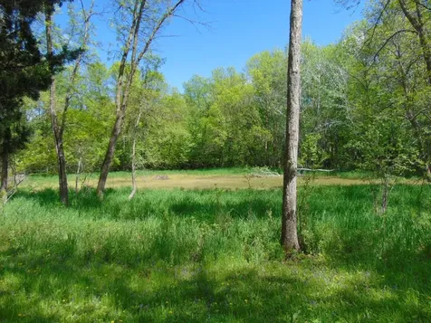 57625 226th Street Litchfield MN 55355
