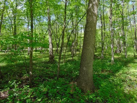 57625 226th Street Litchfield MN 55355