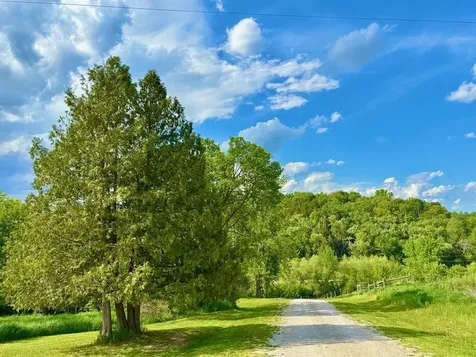 22966 Grosbeak Road Lanesboro MN 55949