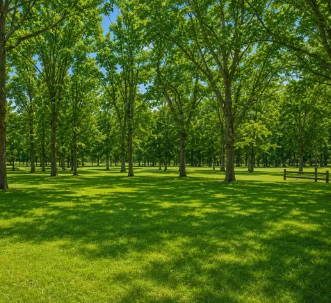 13464 Thomas Drive Little Falls MN 56345