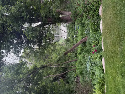 15595 Cherry Path Rosemount MN 55068