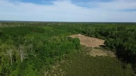 Tbd County 4 Park Rapids MN 56470