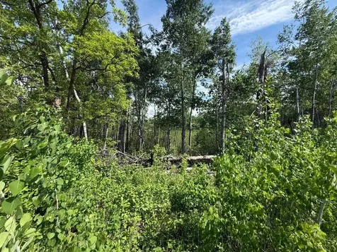Tbd County 4 Park Rapids MN 56470