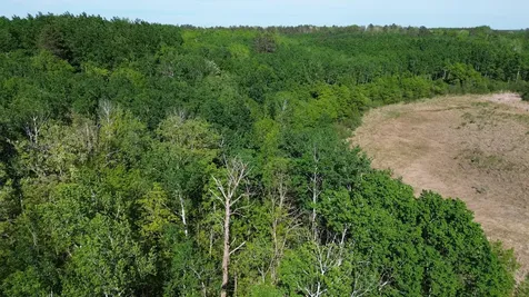 Tbd County 4 Park Rapids MN 56470