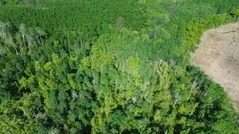 Tbd County 4 Park Rapids MN 56470