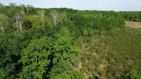 Tbd County 4 Park Rapids MN 56470