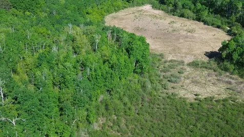 Tbd County 4 Park Rapids MN 56470
