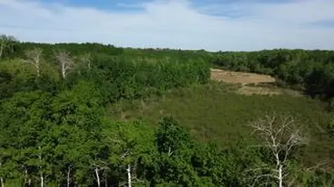 Tbd County 4 Park Rapids MN 56470