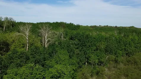 Tbd County 4 Park Rapids MN 56470