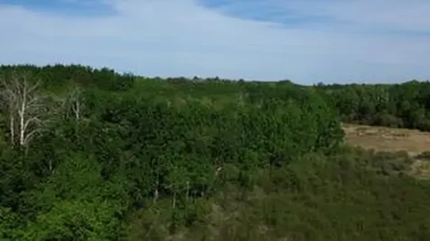 Tbd County 4 Park Rapids MN 56470