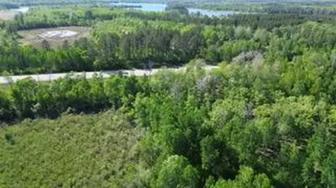 Tbd County 4 Park Rapids MN 56470