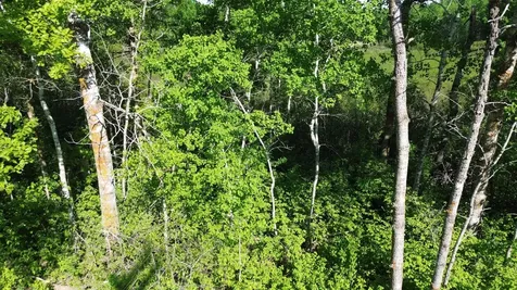Tbd County 4 Park Rapids MN 56470