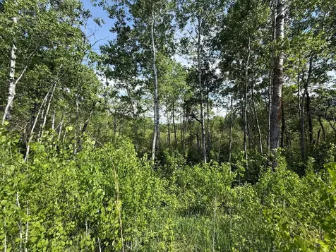Tbd County 4 Park Rapids MN 56470