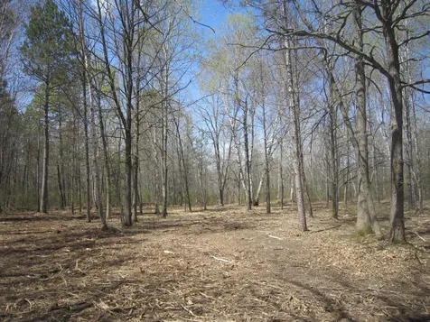 Lot 4 Among Forest & Lakes Drive Cass Lake MN 56633