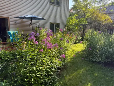638 Oakwood Drive Shoreview MN 55126