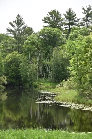 20692 Keystone Road Milaca MN 56353