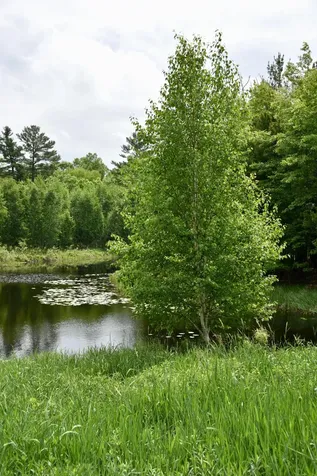 20692 Keystone Road Milaca MN 56353