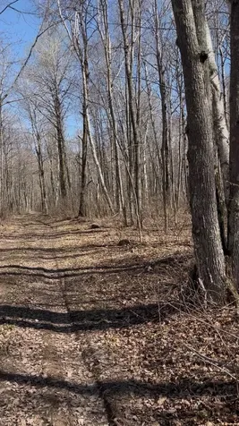 1 Tbd Hinckley Twp MN 55037