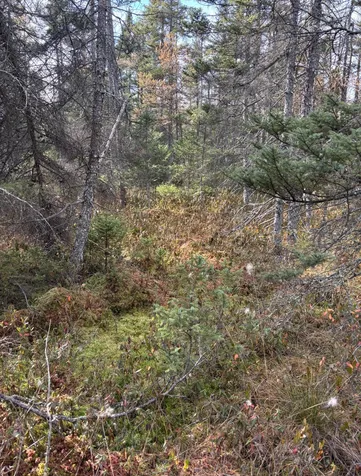 Tbd 30th Avenue Isle MN 56342