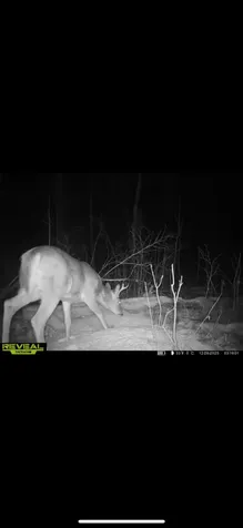 Tbd 30th Avenue Isle MN 56342